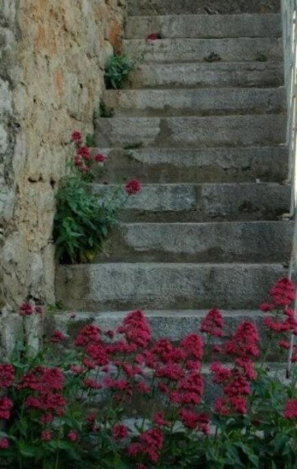 Bedroom For 1, In 100 Y Old Dalmatian House, Under Mountain, 14 Km To Np Krka, 35 Mins Drive To Beach Razvode Экстерьер фото